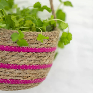 Grand Illusions Seagrass Hanging Basket Pink Stripe